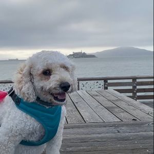 Meet your Posher, Malaika